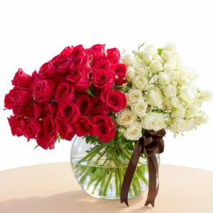 Red rose and luxurious white baby rose