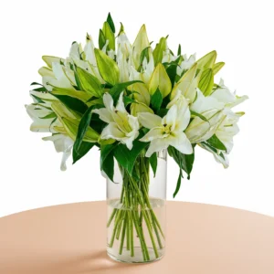 Elegant white Lily Vase